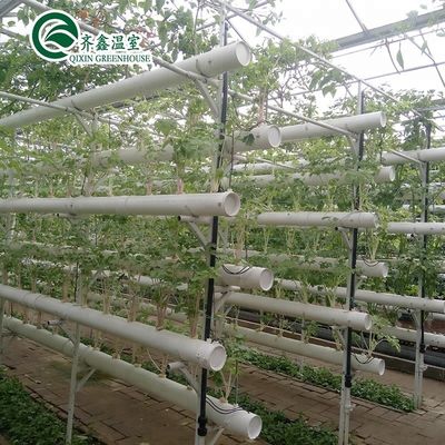 Cubierta de película Sistema de cultivo hidropónico de doble capa para invernadero