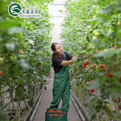 Cubierta de película Sistema de cultivo hidropónico de doble capa para invernadero