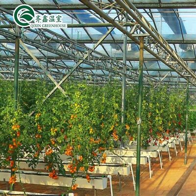Cubierta de película Sistema de cultivo hidropónico de doble capa para invernadero