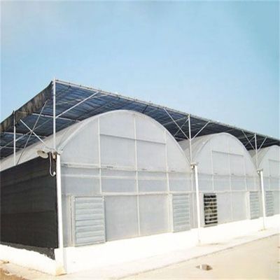 PO Invernadero de una sola capa para la agricultura impulsar la producción agrícola