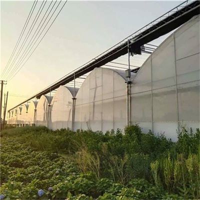 PO Invernadero de una sola capa para la agricultura impulsar la producción agrícola