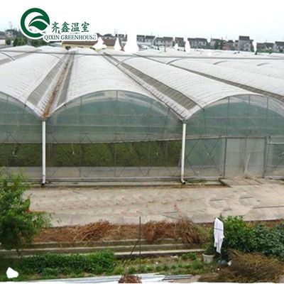PO Invernadero de una sola capa para la agricultura impulsar la producción agrícola