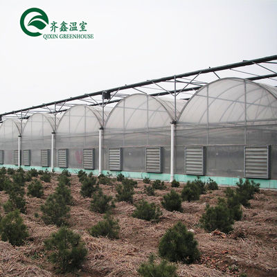 Invernadero con túnel de cultivo de vegetales de múltiples tramos personalizado para el cultivo de vegetales