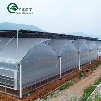 Invernadero con túnel de cultivo de vegetales de múltiples tramos personalizado para el cultivo de vegetales