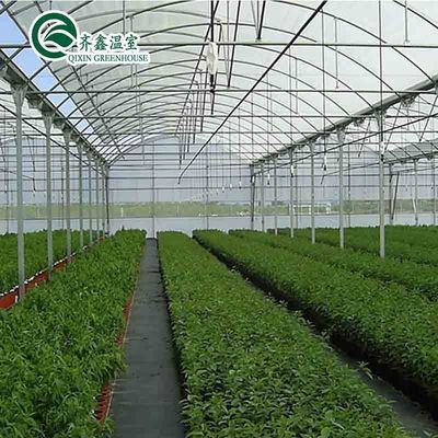 Ventanas de ventilación para el crecimiento óptimo de tomates y otras verduras en invernadero