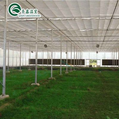 Ventanas de ventilación para el crecimiento óptimo de tomates y otras verduras en invernadero