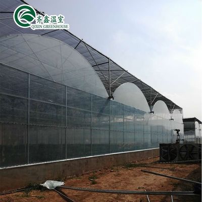Revolucionar la agricultura dentro y fuera Sistema de sombreado para invernaderos hidropónicos