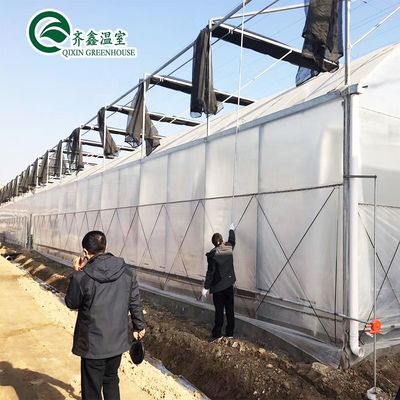 Revolucionar la agricultura dentro y fuera Sistema de sombreado para invernaderos hidropónicos