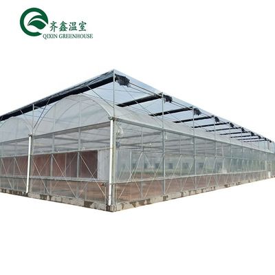 Invernadero hidropónico de doble capa para el cultivo de tomates en un entorno controlado