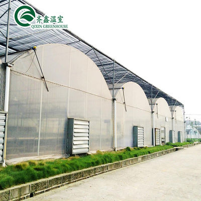 Invernadero hidropónico de doble capa para el cultivo de tomates en un entorno controlado